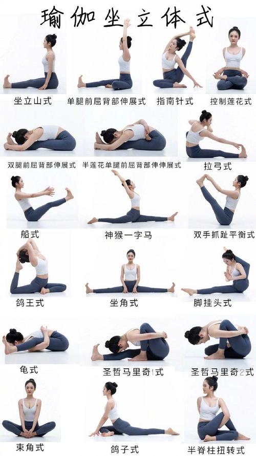 瑜伽体式看这一篇合集就够了！从入门到进阶全解析